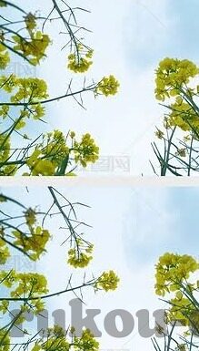 91麻豆精品国产自产在线的-