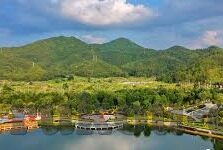 大象传媒合集-大象传媒合集，文化传播的巨象之舞