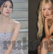 大象传媒下载过卸载了-重新审视大象传媒的下载与卸载，一次个人体验的反思