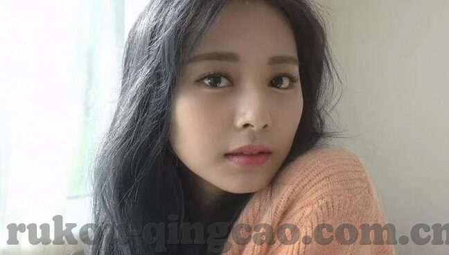 大象视频app电脑版下载-探索大象视频app电脑版下载，解锁高清娱乐新体验