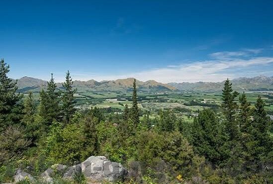 极品麻豆av-揭开隐秘之光，独特视角下的娱乐现象探寻