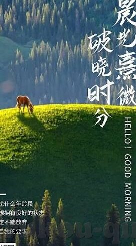 麻豆传媒app下载网站-揭开网络迷雾，安全下载的背后