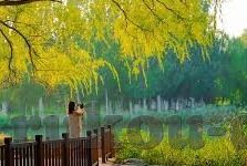 麻豆传媒女演员名字-捕捉荧幕之色，麻豆传媒中的光影魅影——记下那些迷离的瞬间